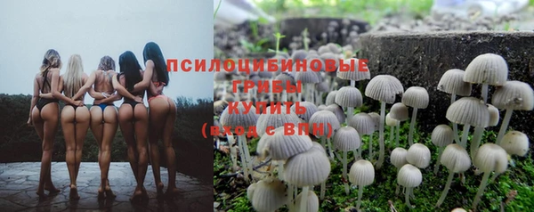 тгк Алзамай