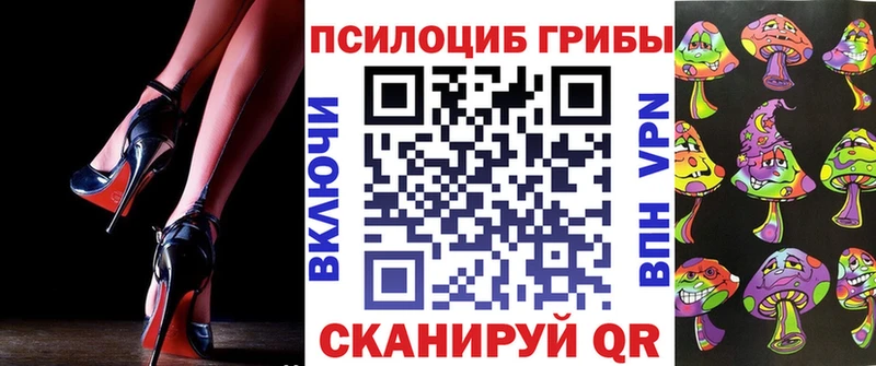 Галлюциногенные грибы Psilocybine cubensis Дегтярск