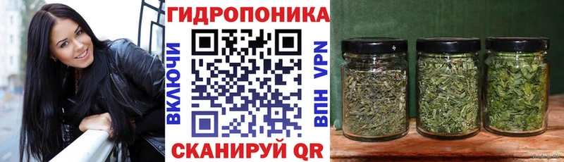Бошки марихуана планчик  закладка  Дегтярск 
